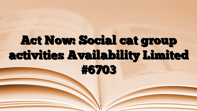 Act Now: Social cat group activities Availability Limited