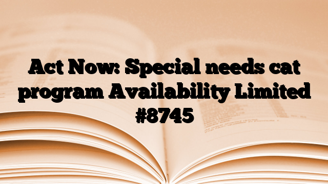 Act Now: Special needs cat program Availability Limited