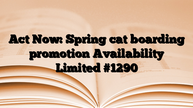 Act Now: Spring cat boarding promotion Availability Limited