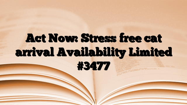Act Now: Stress free cat arrival Availability Limited
