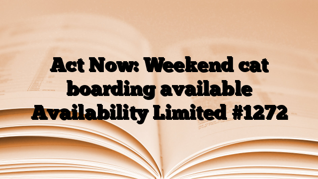Act Now: Weekend cat boarding available Availability Limited