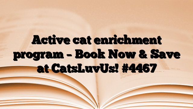 Active cat enrichment program – Book Now & Save at CatsLuvUs!