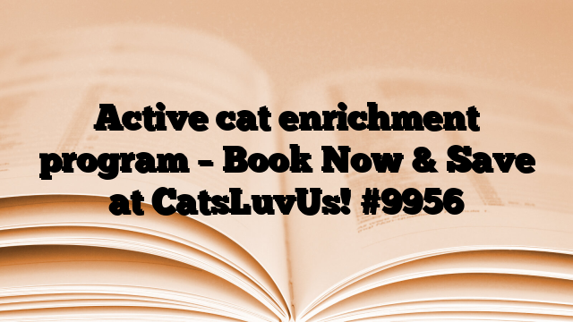 Active cat enrichment program – Book Now & Save at CatsLuvUs!