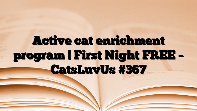 Active cat enrichment program | First Night FREE – CatsLuvUs