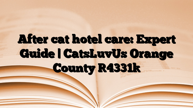 After cat hotel care: Expert Guide | CatsLuvUs Orange County