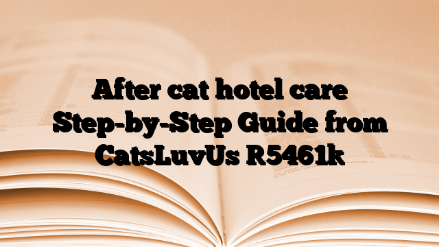 After cat hotel care Step-by-Step Guide from CatsLuvUs
