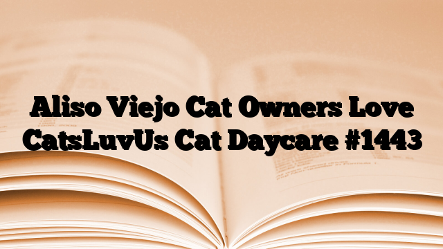 Aliso Viejo Cat Owners Love CatsLuvUs Cat Daycare