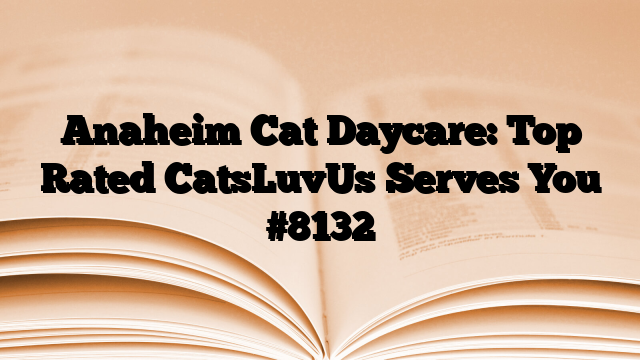 Anaheim Cat Daycare: Top Rated CatsLuvUs Serves You