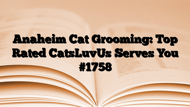 Anaheim Cat Grooming: Top Rated CatsLuvUs Serves You