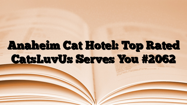 Anaheim Cat Hotel: Top Rated CatsLuvUs Serves You