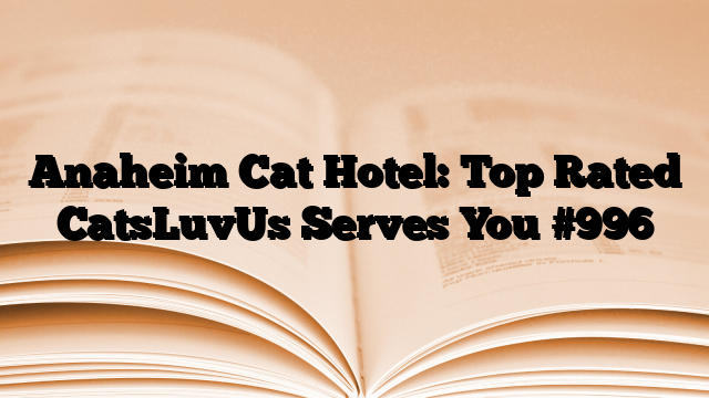 Anaheim Cat Hotel: Top Rated CatsLuvUs Serves You