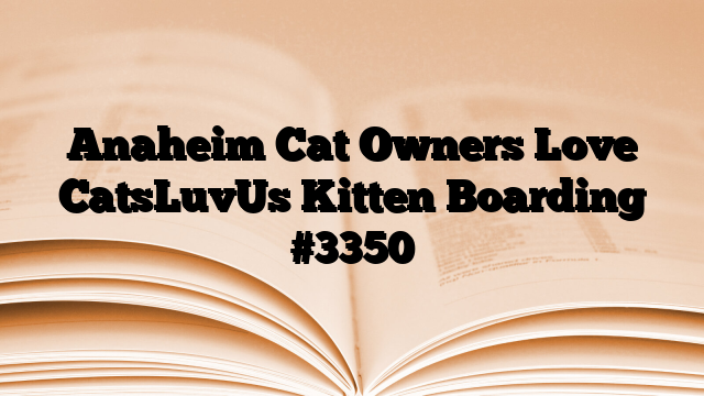 Anaheim Cat Owners Love CatsLuvUs Kitten Boarding
