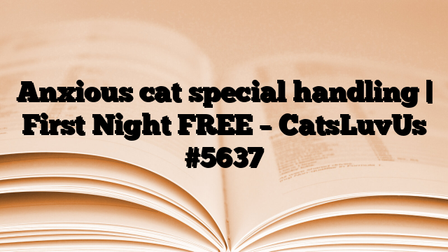 Anxious cat special handling | First Night FREE – CatsLuvUs