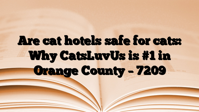 Are cat hotels safe for cats: Why CatsLuvUs is #1 in Orange County