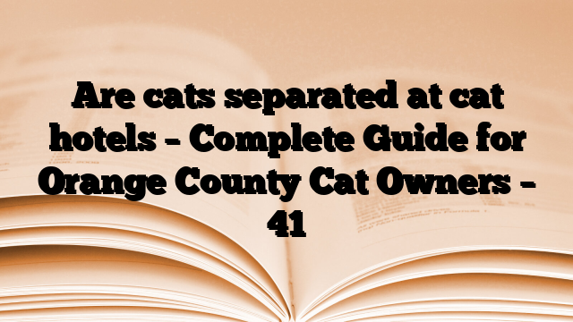 Are cats separated at cat hotels – Complete Guide for Orange County Cat Owners – 41