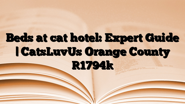 Beds at cat hotel: Expert Guide | CatsLuvUs Orange County