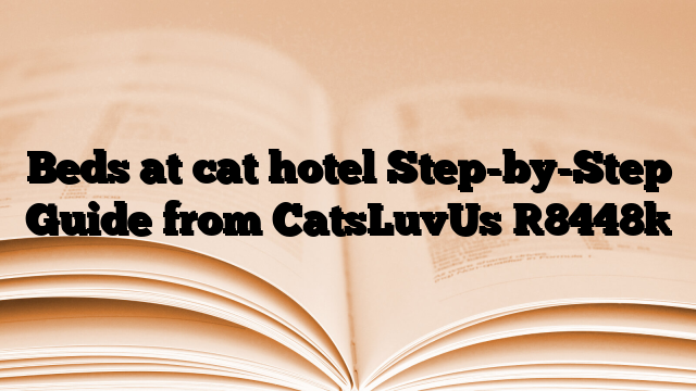 Beds at cat hotel Step-by-Step Guide from CatsLuvUs