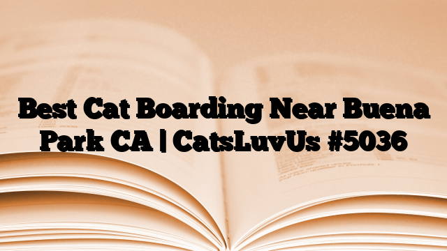 Best Cat Boarding Near Buena Park CA | CatsLuvUs