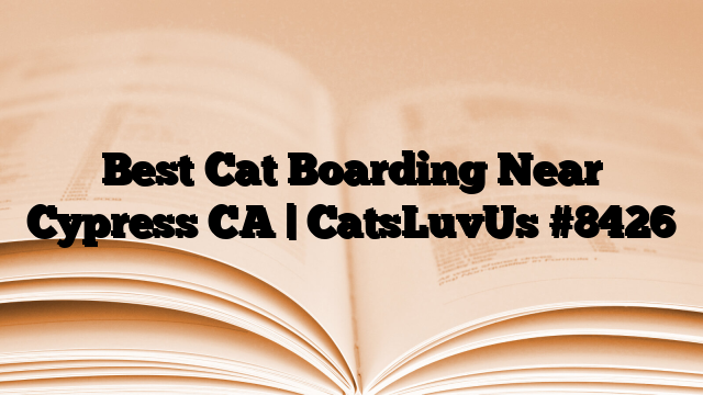 Best Cat Boarding Near Cypress CA | CatsLuvUs
