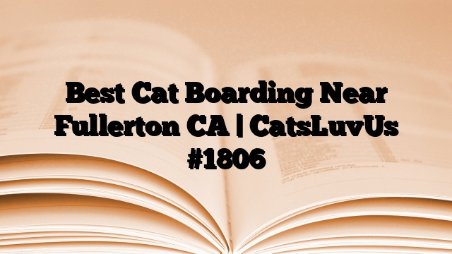 Best Cat Boarding Near Fullerton CA | CatsLuvUs