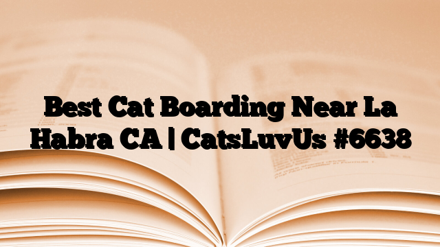 Best Cat Boarding Near La Habra CA | CatsLuvUs