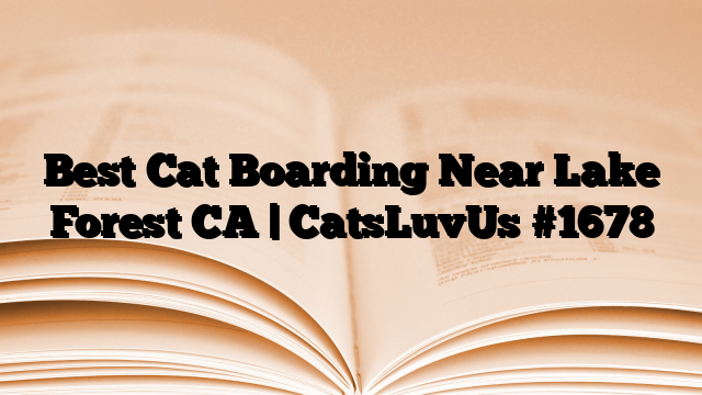 Best Cat Boarding Near Lake Forest CA | CatsLuvUs
