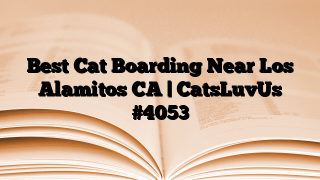Best Cat Boarding Near Los Alamitos CA | CatsLuvUs
