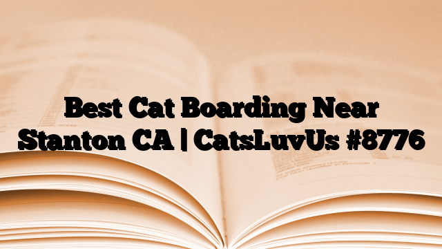 Best Cat Boarding Near Stanton CA | CatsLuvUs