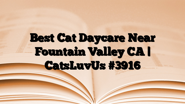 Best Cat Daycare Near Fountain Valley CA | CatsLuvUs