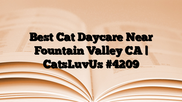 Best Cat Daycare Near Fountain Valley CA | CatsLuvUs