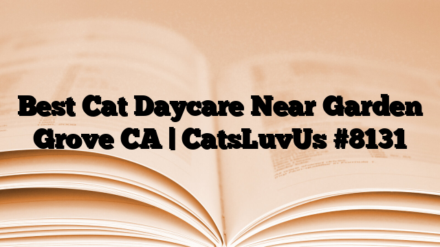 Best Cat Daycare Near Garden Grove CA | CatsLuvUs