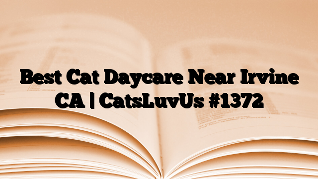Best Cat Daycare Near Irvine CA | CatsLuvUs