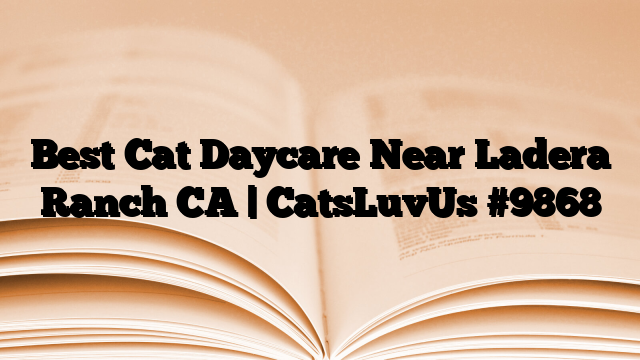 Best Cat Daycare Near Ladera Ranch CA | CatsLuvUs