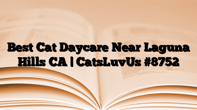 Best Cat Daycare Near Laguna Hills CA | CatsLuvUs