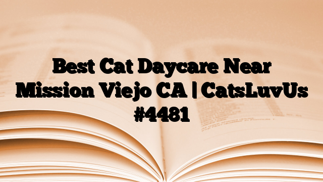 Best Cat Daycare Near Mission Viejo CA | CatsLuvUs