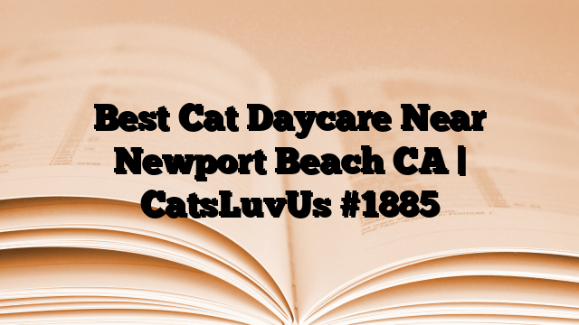 Best Cat Daycare Near Newport Beach CA | CatsLuvUs