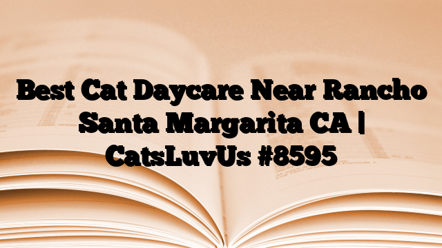Best Cat Daycare Near Rancho Santa Margarita CA | CatsLuvUs