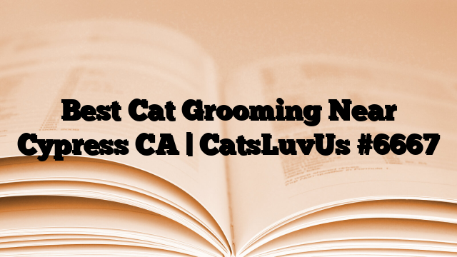 Best Cat Grooming Near Cypress CA | CatsLuvUs
