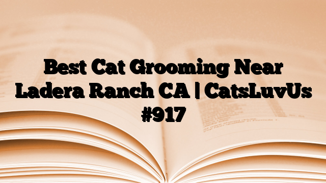 Best Cat Grooming Near Ladera Ranch CA | CatsLuvUs