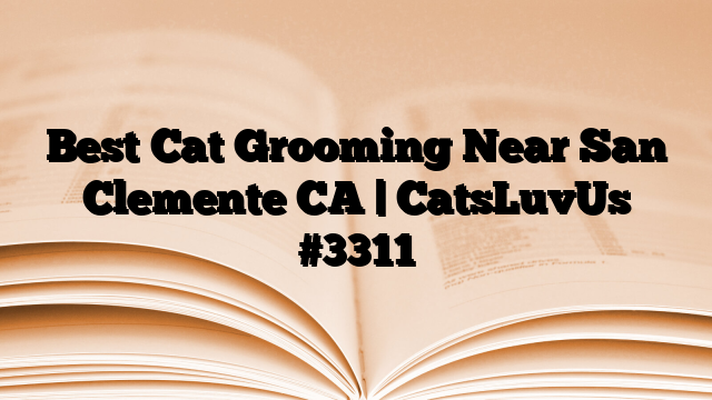 Best Cat Grooming Near San Clemente CA | CatsLuvUs