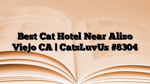 Best Cat Hotel Near Aliso Viejo CA | CatsLuvUs