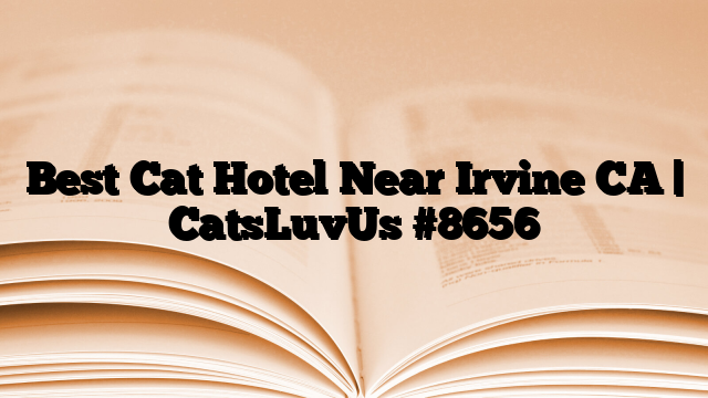 Best Cat Hotel Near Irvine CA | CatsLuvUs