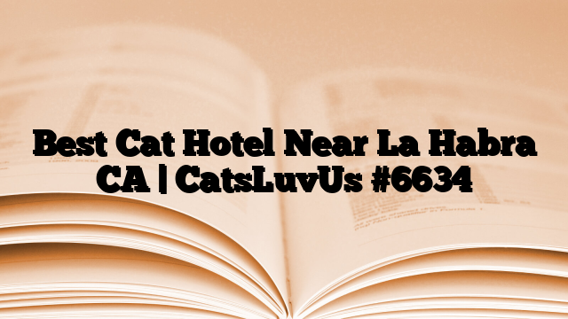 Best Cat Hotel Near La Habra CA | CatsLuvUs