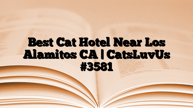 Best Cat Hotel Near Los Alamitos CA | CatsLuvUs