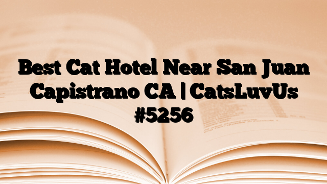 Best Cat Hotel Near San Juan Capistrano CA | CatsLuvUs
