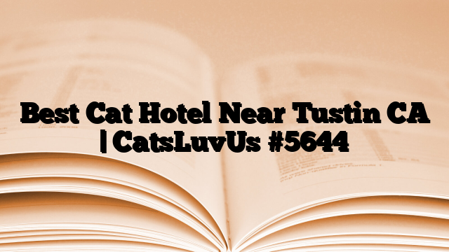Best Cat Hotel Near Tustin CA | CatsLuvUs