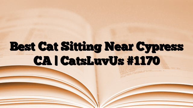 Best Cat Sitting Near Cypress CA | CatsLuvUs