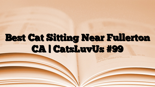Best Cat Sitting Near Fullerton CA | CatsLuvUs
