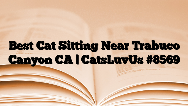 Best Cat Sitting Near Trabuco Canyon CA | CatsLuvUs