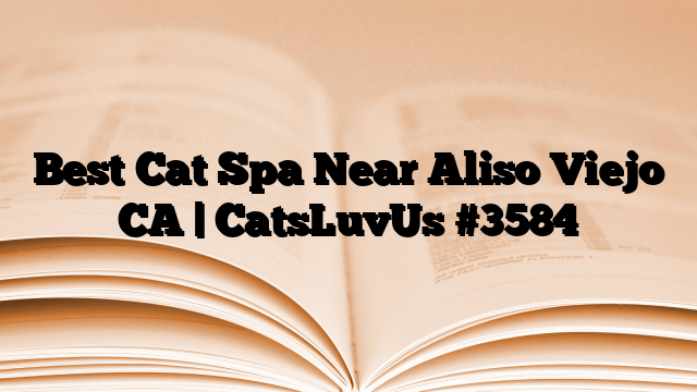 Best Cat Spa Near Aliso Viejo CA | CatsLuvUs